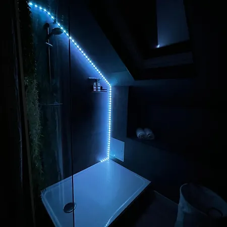 Le Chic, Cosy Avec Sauna Au Centre Apartment *