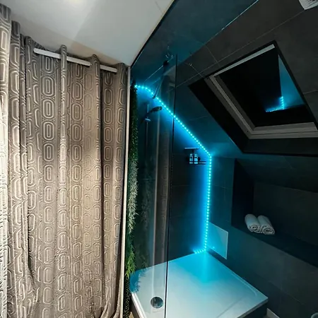 Le Chic, Cosy Avec Sauna Au Centre Apartment Troyes