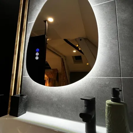 Lägenhet Le Chic, Cosy Avec Sauna Au Centre Troyes