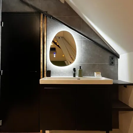 Apartment Le Chic, Cosy Avec Sauna Au Centre Troyes